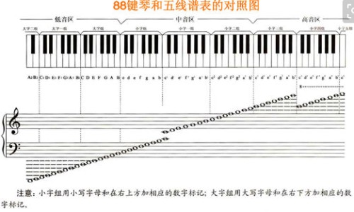 胎盘低置能吃什么-胎盘底有什么药物可以吃-胎盘底要吃什么才能长上去,中国底置胎盘吃那些食物容易出血网站