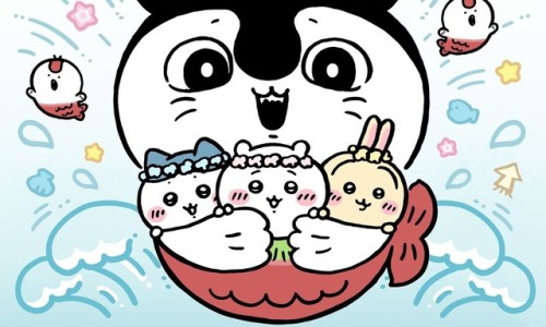 底置胎盘要注意些什么-胎盘底有什么药物可以吃-胎盘底要吃什么才能长上去,中国底置胎盘吃那些食物容易出血网站