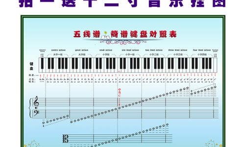 胎盘底有什么药物可以吃-胎盘底有什么药物可以吃-胎盘底要吃什么才能长上去,中国底置胎盘吃那些食物容易出血网站