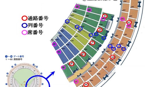 底置胎盘要注意些什么-胎盘底有什么药物可以吃-胎盘底要吃什么才能长上去,中国底置胎盘吃那些食物容易出血网站